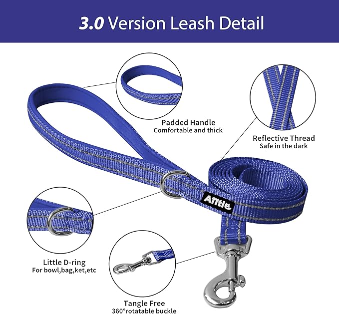 AIITLE Comfortable Dog Harness and Leash Set for Walking - Step in Vest Harness,Reflective Bands, Adjustable No Pull Puppy Essentials, for Small Dogs and House Cats Royal Blue XS