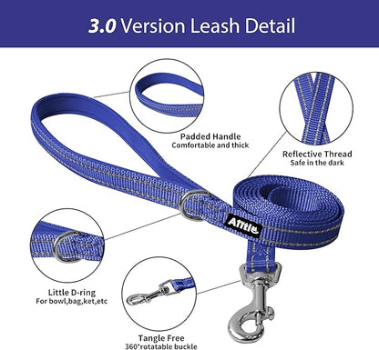 AIITLE Comfortable Dog Harness and Leash Set for Walking - Step in Vest Harness,Reflective Bands, Adjustable No Pull Puppy Essentials, for Small Dogs and House Cats Royal Blue XS