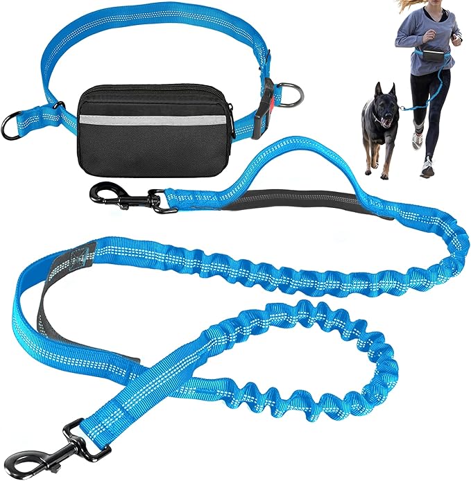 Hands Free Dog Leash with Waist Belt – No-Pull Bungee, Dual Padded Handles & Zipper Pouch for Running, Walking & Training – Adjustable Waist Leash for Large & Medium Dogs (Sky Blue)