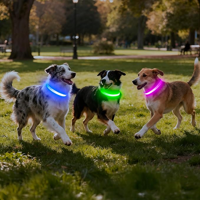 Vizpet LED Dog Collar, Light Up Dog Collar Adjustable USB Rechargeable Super Bright Safety Light Glowing Collars for Dogs(X-Large,Blue)