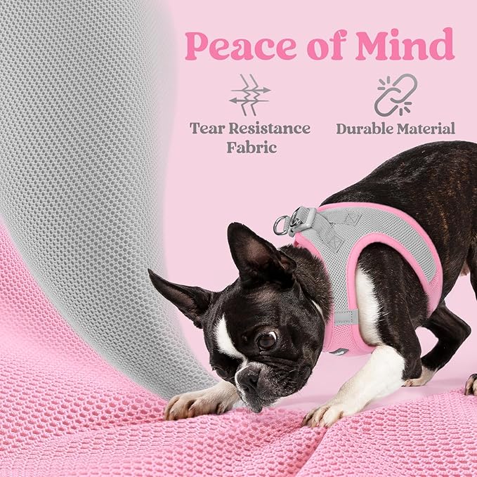 rabbitgoo Small Dog Harness, Step-in Soft Mesh Puppy Vest with Safety Buckle, Breathable Reflective Pet Harness for Extra Small Dogs, Pink & Gray XXS