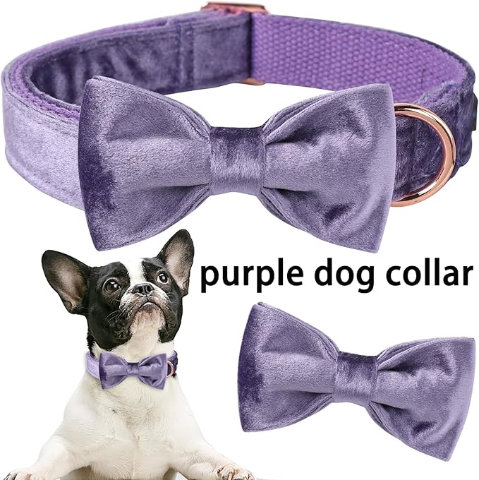 ARING PET Bowtie Dog Collar-Velvet Dog Collars with Removable Bowtie, Cute &Comfortable Purple Dog Collar,X-Large.