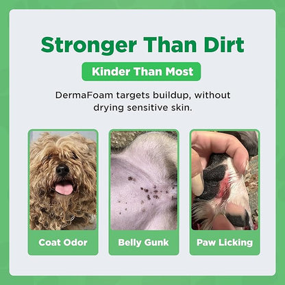 Dermafoam 16.9oz Chlorhexidine Shampoo for Allergies, Itching, Skin and Coat Supplement, Helps Shedding, Hot Spots, Paw Irritation, Rashes Deodorizing and Cleansing Dog Shampoo & Grooming Supplies