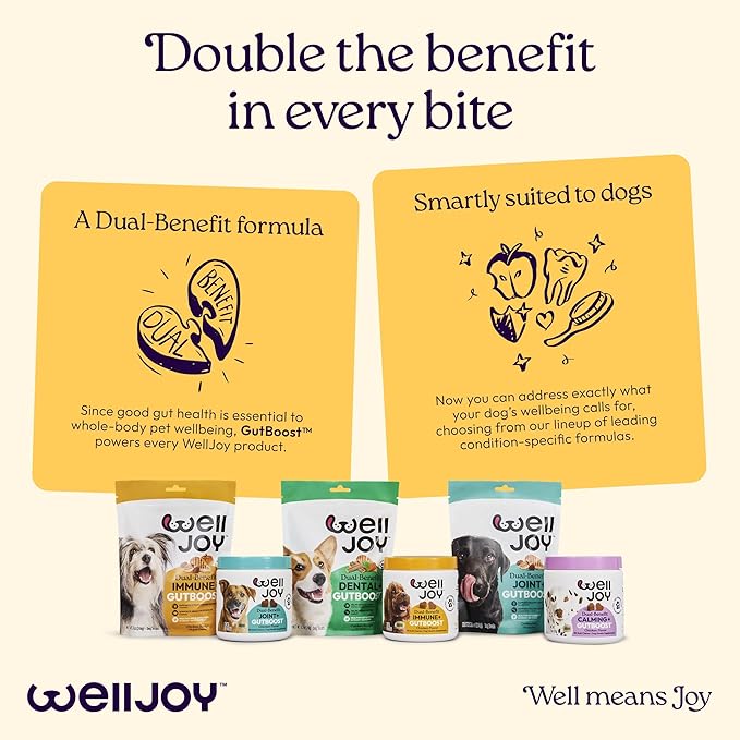 New! WellJoy Dog Supplement Immune+ GutBoost | Dog Health Supplement | Enhances Immune Response | Dual-Benefit GutBoost Formulation | Vet Formulated | Made in USA | Chicken Flavor | 90 Soft Chews