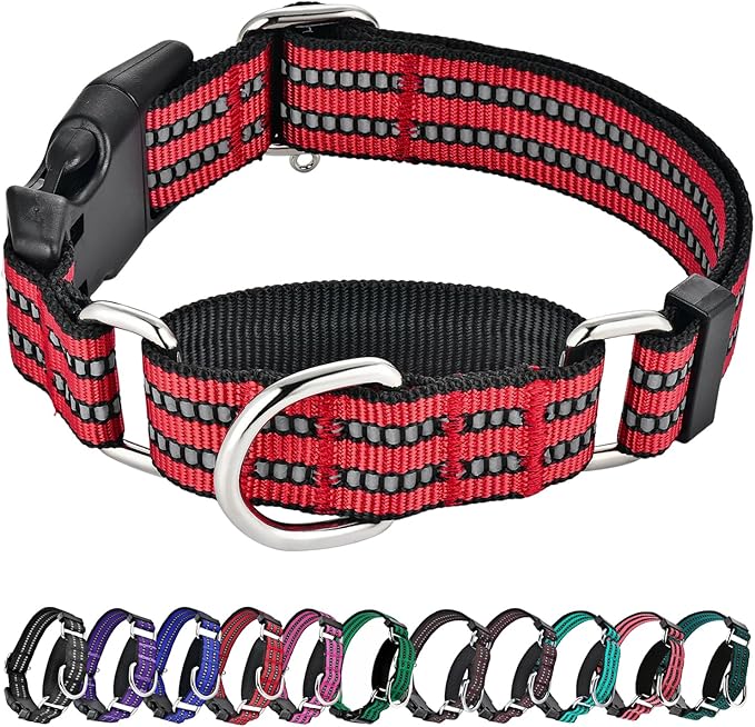 Hikiko Martingale Dog Collars Reflective Nylon Dog Collar with Quick Release Buckle Adjustable Training No Slip Dog Collar (X-Large, Red)