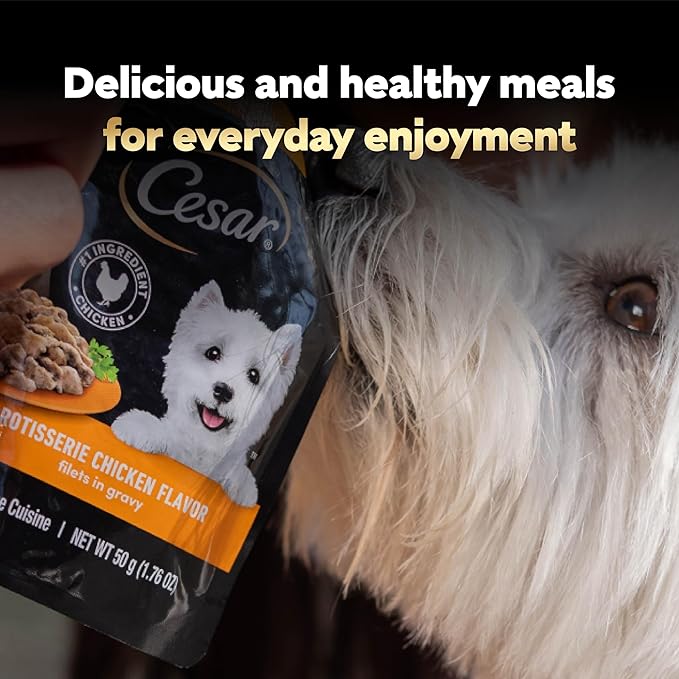 Cesar Filets in Gravy Wet Dog Food Rotisserie Chicken Flavor, Filet Mignon Flavor, and Wood-Grilled Chicken Variety Pack, Wet Food for Dogs, 1.76 oz. Mini-Pouches, 40 Count