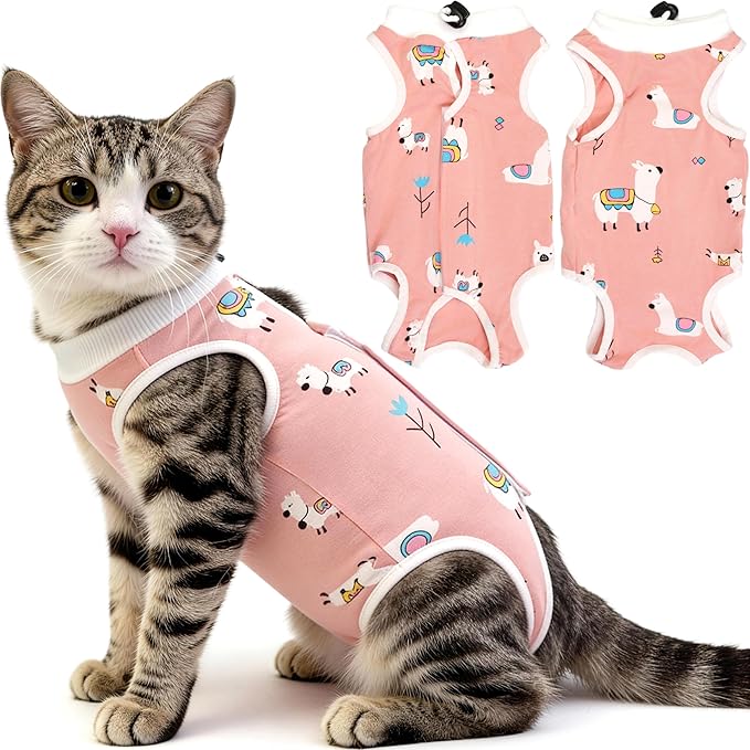 Hpetppy Cat Recovery Suit for Spay Abdominal Wounds, Breathable Cat Onesie for Cats After Surgery Female, Kitten Surgical Recovery Suit Female Cone of Shame Alternative for Cats Anti Licking