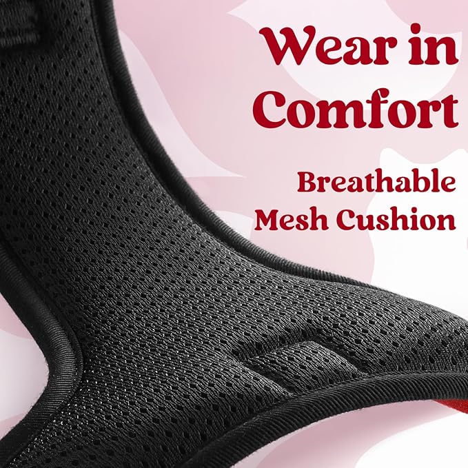 rabbitgoo Dog Harness for Large, No Pull Pet Harness with 3 Buckles, Adjustable Soft Padded Vest with Control Handle, Walking Reflective Pet Vest for Large Dogs, Red, L