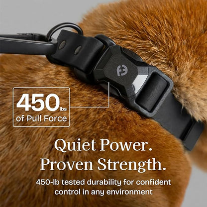 2026 New Edition, Fei & Eve PVC MagEase Dog Collar - Patented Magnetic Buckles | Fur-Safe | 450LB Escape-Proof | Adjustable Fit | Medium (Black)