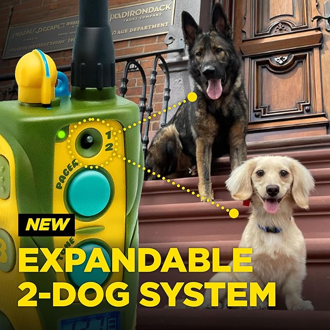 Dogtra E-Collar Tom Davis 280C 2.0 [2025 Edition], Boost & Lock, Waterproof, 1/2-Mile Range Dog Training Collar with Remote, Rechargeable, 127 Levels, Vibration, Bungee, No Bad Dogs Trainers