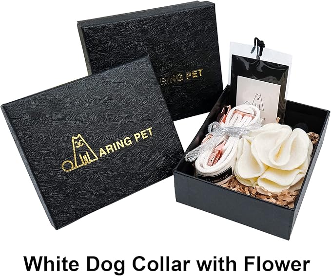 ARING PET Velvet Dog Collars, White Soft Pet Collar with Detachable Felt Flower Metal Buckle for Puppy Small Medium Large Boy Girl Dogs-M