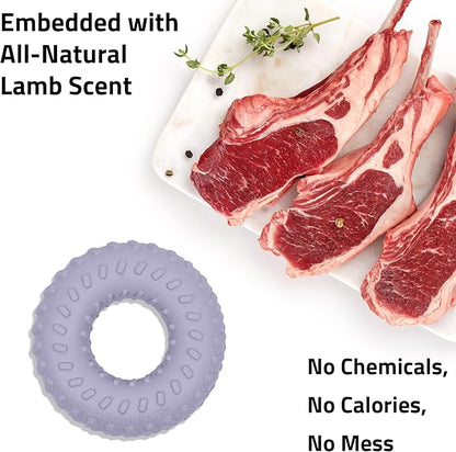 Playology Dog Toys | Dual Layer Ring Durable Chew Toy for Aggressive Chewers | Small Lamb Scented Toy - Easy to Clean and Made from Non Toxic Materials