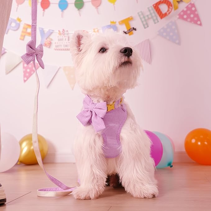 Didog Cute Small Dog Harness Collar and Leash Set with Bowtie, Breathable Soft Mesh Padded Puppy Harness, Dog Harness for Small Dogs Daily Walks Parties, Holiday Gatherings & Gifts, Purple, S