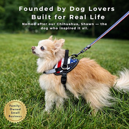 ShawnCo Essential Dog Harness, No-Pull Pet Vest with 3 Leash Clips, No Choke, Reflective, Adjustable and Padded, for Easy Walking and Training for Small, Medium and Large Dogs (Military Camo, S)