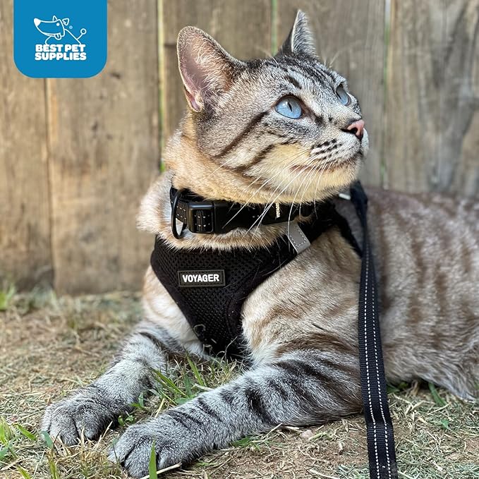 Best Pet Supplies Voyager Step-in Air Harness - All Weather Mesh, Reflective, No Pull Harness for Dogs, Cats - Secure with Hook & Loop Fastener, Buckle, Double D-Rings - Black, XXXS