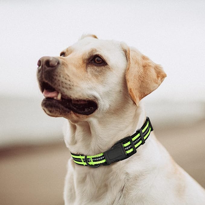 Mile High Life Reflective Dog Collar | Nylon Pet Collars wiith Buckle | Light Weight Puppy Collars | Lime Green Dog Collars for Small Dogs (Lime Green, X-S)