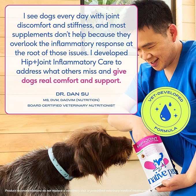 Native Pet Pain Relief for Dogs - Collagen for Dogs Promotes Joint Health, Reduce Inflammation & Stiffness - Senior Pup Joint Supplement - Natural Pain Reliever for Active & Aging Pets - 120 Chews