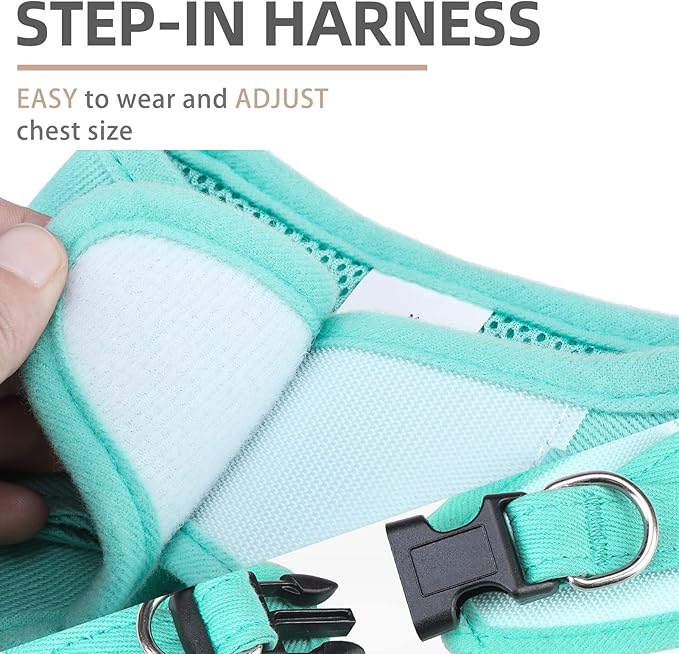 PUPTECK Dog Harness and Leash Set for Small Medium Dogs No Pull Step-in Soft Mesh Puppy Cat Vest Harnesses Reflective at Night, Denim Green XS