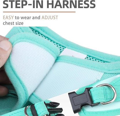 PUPTECK Dog Harness and Leash Set for Small Medium Dogs No Pull Step-in Soft Mesh Puppy Cat Vest Harnesses Reflective at Night, Denim Green XS