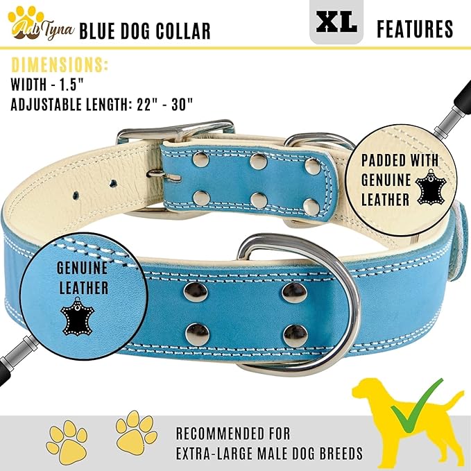 ADITYNA Heavy-Duty Blue Leather Dog Collar for Extra-Large Dogs - Soft Padded for Comfort - XL Dog Collar for Walking, Training, and Hiking