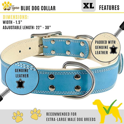 ADITYNA Heavy-Duty Blue Leather Dog Collar for Extra-Large Dogs - Soft Padded for Comfort - XL Dog Collar for Walking, Training, and Hiking