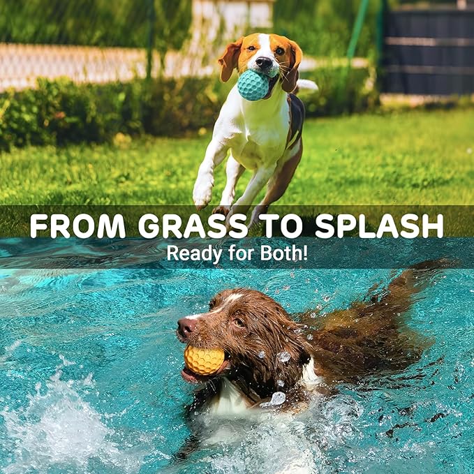 iPettie 4 Pack Honeycomb Dog Toys for Aggressive Chewers – Summer Floating Squeaky Chew Toys for Large Dogs, Safe Rubber for Interactive Play, Tough Puppy Chew Toys for Medium & Big Breeds, 3.15"