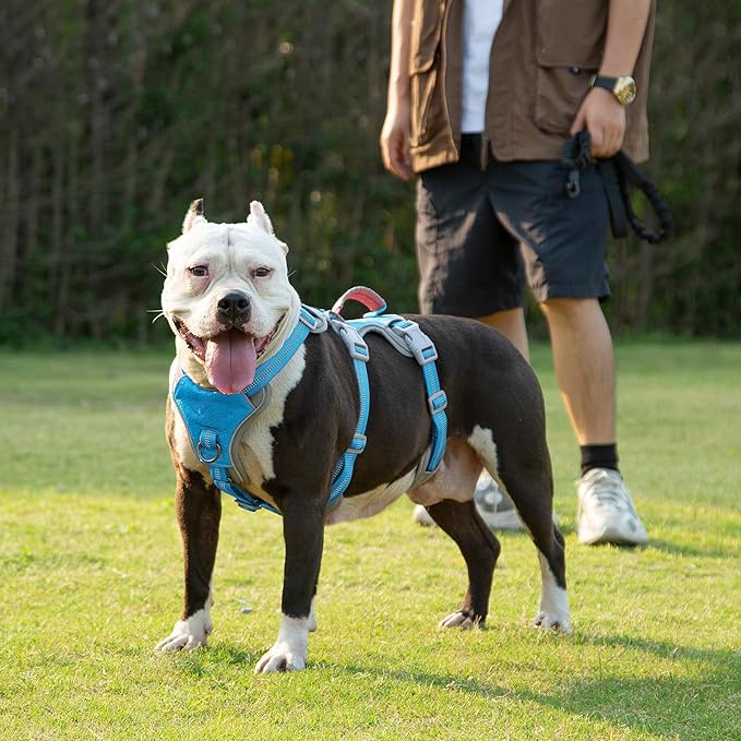 Huntboo Escape Proof Dog Harness, Escape Artist Harness, Reflective Harness with Padded Handle, Breathable, Durable, Adjustable Vest for Medium Dogs Walking, Training, and Running Gear (Blue, M)