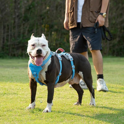 Huntboo Escape Proof Dog Harness, Escape Artist Harness, Reflective Harness with Padded Handle, Breathable, Durable, Adjustable Vest for Medium Dogs Walking, Training, and Running Gear (Blue, M)