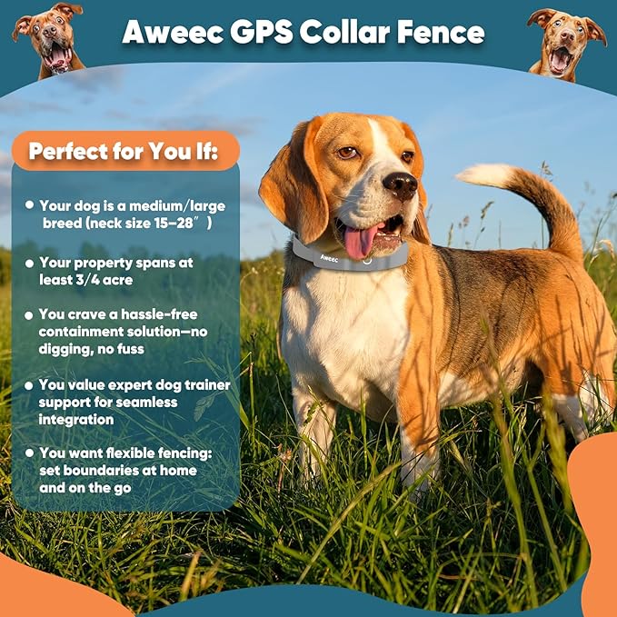 GPS Wireless Dog Fence with Free App, Electric Fence System with Training Collar, Portable Fence for Outdoor Use, Rechargeable Waterproof Flexiable Collar, Adjustable for Large Medium Dogs (Grey)