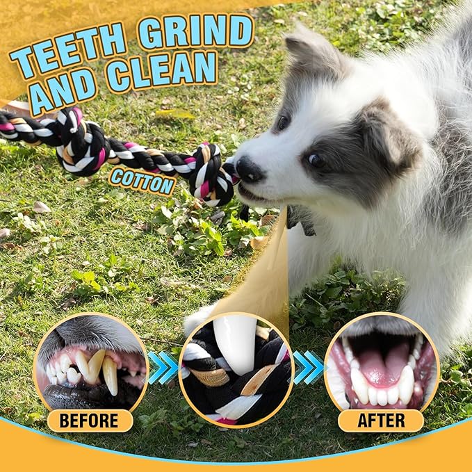 PPTAIO Dog Rope Toys with 18 pcs for Teething, Entertainment & Interaction, Dog Chew Toys, Training Tug Balls and Squeaky Toys for Medium&Small Puppies.