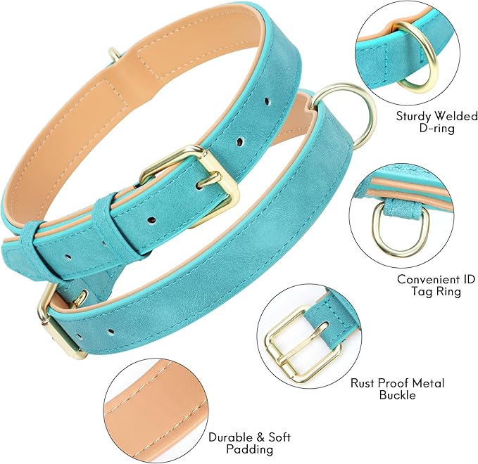 Leather Dog Collar for Small Medium Large Dogs, Soft Padded Dog Leather Collar with Heavy Duty Gold Buckle, Durable & Comfortable for Puppy Dogs Daily Walking (Teal, XS)