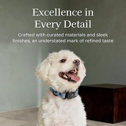 2026 New Edition, Fei & Eve PVC MagEase Dog Collar - Patented Magnetic Buckles | Fur-Safe | 450LB Escape-Proof | Adjustable Fit | Small (Dusk Blue)