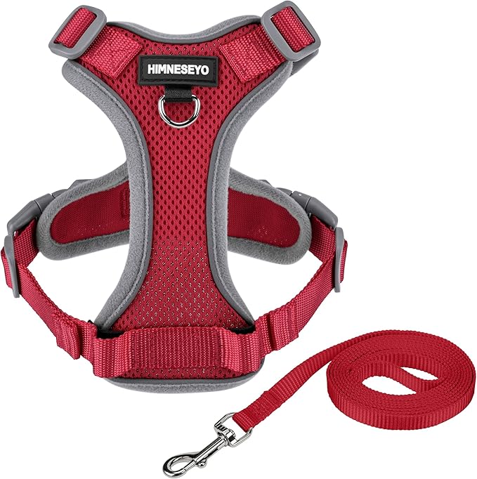 Small Dog Harness and Leash Set，No Pull Adjustable Pet Harness for Small Dogs ，Breathable Mesh Reflective Dog Vest Harness (Red, XXS)