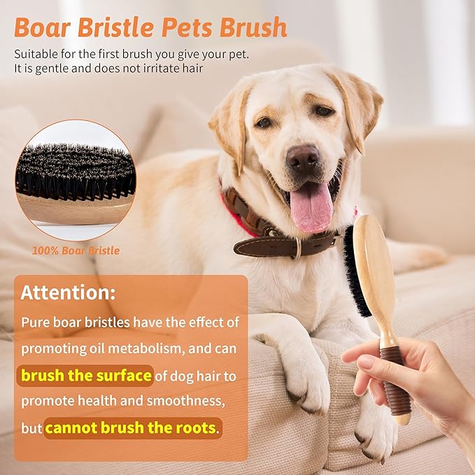 GROOMAGE Boar Bristle Pet Brush for Short Haired Dogs and Cats, Dog Cast Hair Brush for Shedding with Beech Wood Handle and Non-Slip Rubber