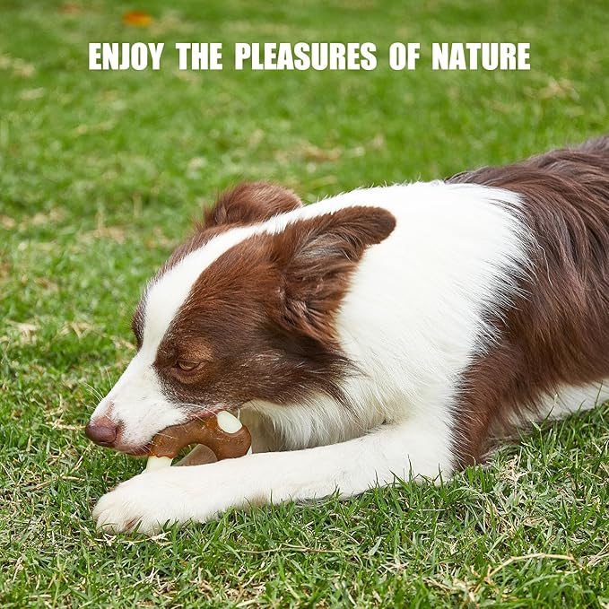 Geeyteek Durable Nylon Dog Toys, 2 Pack Tough Chew Toys for Aggressive Chewers, Beef-Flavored Hoof-Shaped Dog Chew Bones for Large/Medium Breed Dogs, Teeth Cleaning and Anxiety Relief