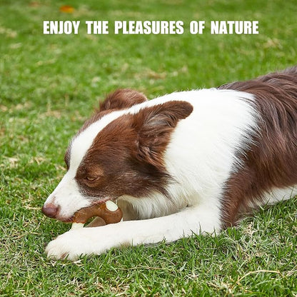 Geeyteek Durable Nylon Dog Toys, 2 Pack Tough Chew Toys for Aggressive Chewers, Beef-Flavored Hoof-Shaped Dog Chew Bones for Large/Medium Breed Dogs, Teeth Cleaning and Anxiety Relief