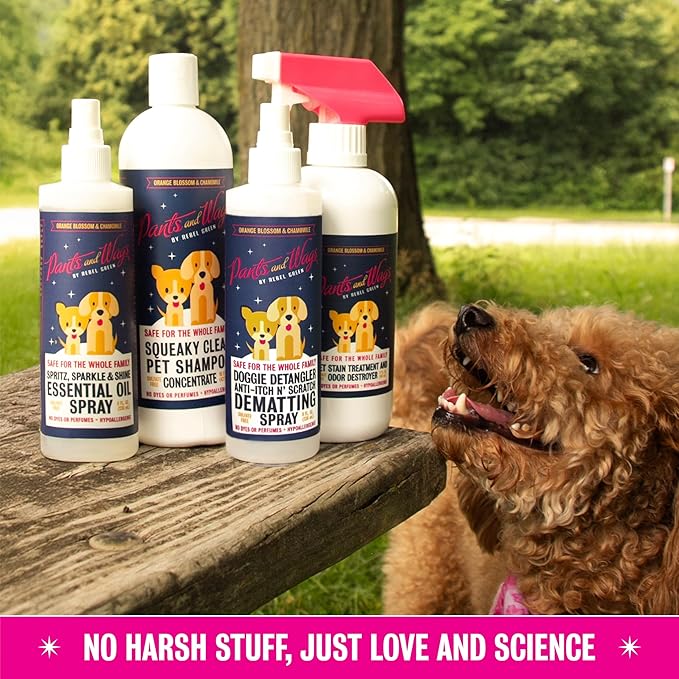 Pants and Wags by Rebel Green Bubbles & Suds Waterless Foam Pet Wash - Orange Blossom & Chamomile - Hypoallergenic - No Dyes or Perfumes - 8 fl oz - 2-Pack