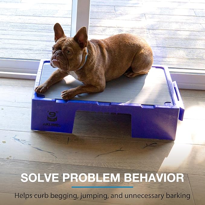Blue-9 KLIMB Jr. Professionally Designed Dog Training Platform and DIY Guide for Behavior Basics, Made in The USA, Purple
