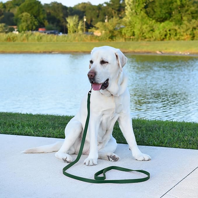 Dogline Biothane Waterproof Dog Leash Strong Coated Nylon Webbing with Black Hardware Odor-Proof Easy to Clean High Performance for Small or Large Dogs Made in USA 4 or 6 ft Lead, Hunter Green