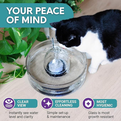 Brook Glass Pet Fountain (90oz/2.7L) – Cat & Dog Water Fountain – Glass Cat Fountain & Automatic Water Dispenser for Drinking