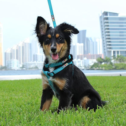 Pawtitas Recycled Reflective Step-in Dog Harness – Adjustable No-Pull Vest for Puppies to Seniors, Safe & Comfortable S Purple