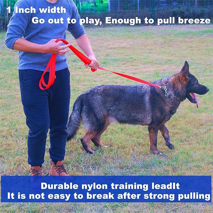 Siumouhoi Strong Durable Nylon Dog Training Leash, 1 Inch Wide Traction Rope, 6 ft 10ft 15ft Long, for Small and Medium Dog (Brown, 6 Feet)