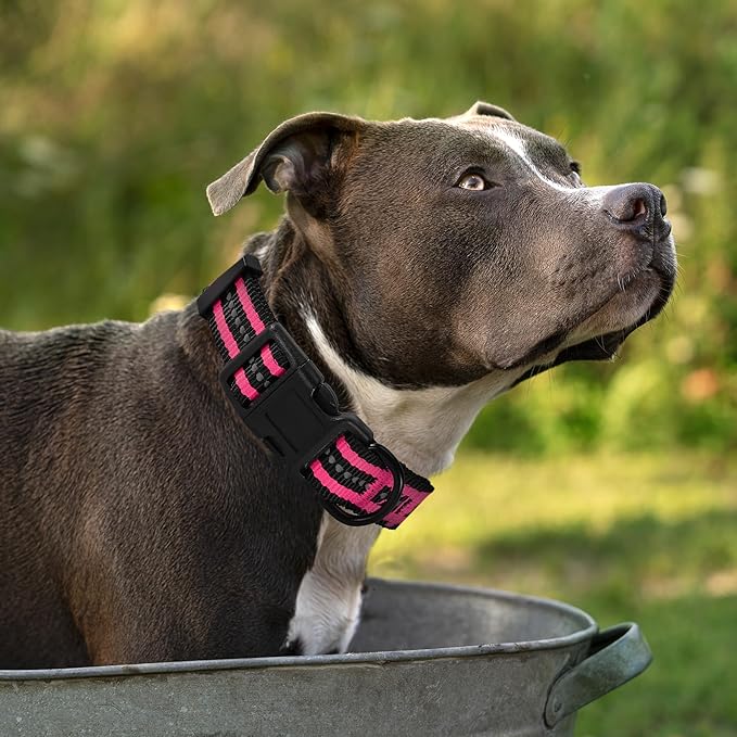 Mile High Life Reflective Dog Collar Leash Set - Adjustable for Small/Medium Dogs (Reflective Stripe Pink, Small, Pack of 2)