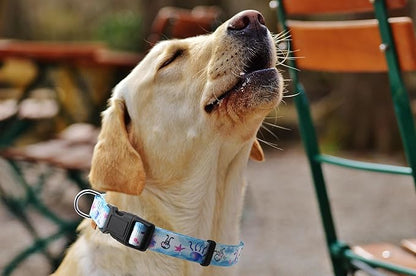 Dog Collar, Cute Jellyfish in Ocean Pattern, Soft and Adjustable Collar with Quick Release Buckle (L (Neck 16-28", Width 1"), Ocean Blue)