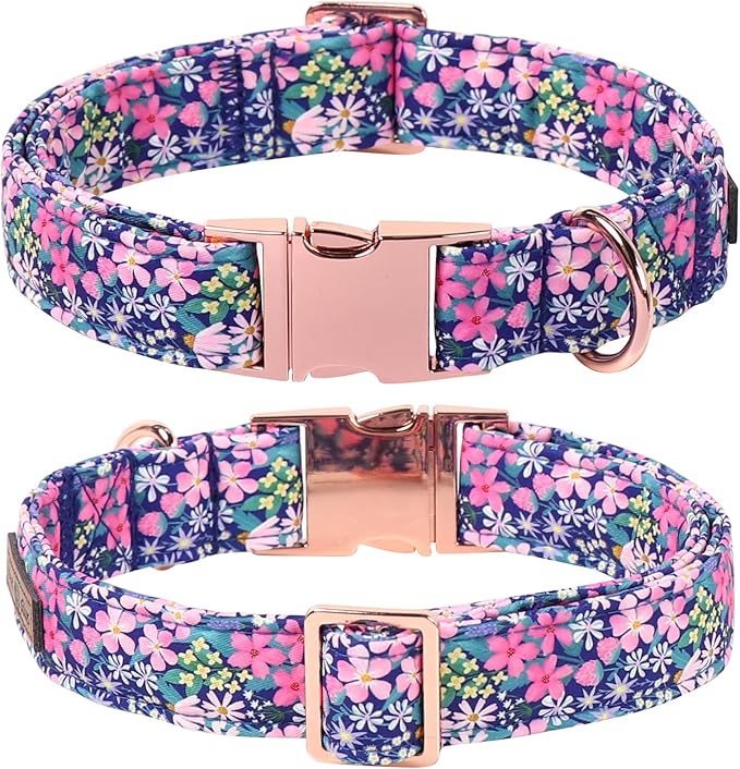 Lionet Paws Floral Dog Collar with Sailor Bow, Spring Wildflowers Daisy Fleabane Dog Collar Bow Tie for Puppies, XS, Neck 8-12 inches
