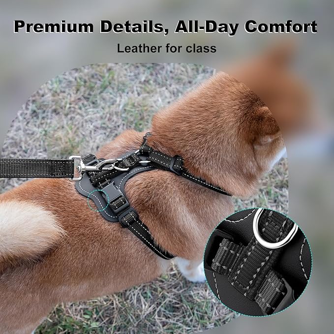 Plutus Pet Adjustable No Pull Dog Harness with Leather Accents, Heavy Duty Reflective Nylon Vest for Training, Hiking, Easy Walk Harness for Small, Medium, Large Dogs (Black, S)