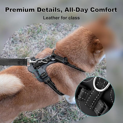 Plutus Pet Adjustable No Pull Dog Harness with Leather Accents, Heavy Duty Reflective Nylon Vest for Training, Hiking, Easy Walk Harness for Small, Medium, Large Dogs (Black, S)
