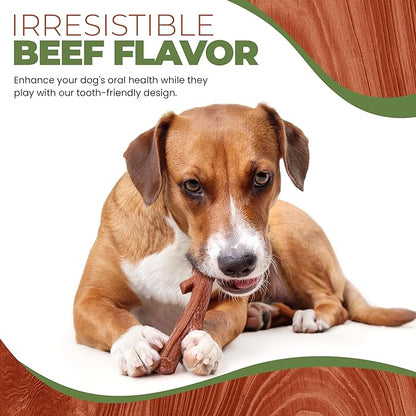 SPOT Bam-Bones Plus Branch -Bamboo Fiber & Nylon, Durable Long Lasting Dog Chew for Aggressive Chewers – Great Toy for Adult Dogs & Teething Puppies Under 90lbs, Non-Splintering, 9.5in, Beef Flavor