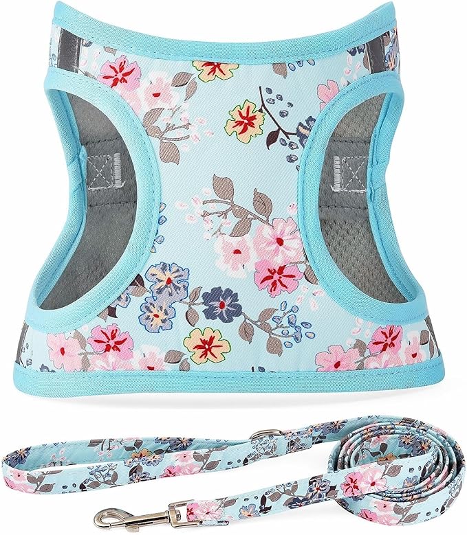 Moonpet Step in Dog Harness Leash Set- All Weather Reflective No-Pull Floral Pattern Padded Mesh Vest Harness for Cats Puppy Extra-Small Small Medium Large Dogs - Bell Orchid - XXS