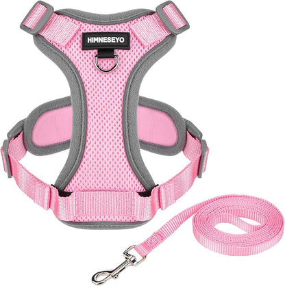 Small Dog Harness and Leash Set, No Pull Adjustable Pet Harness for Small Dogs, Breathable Mesh Rflective Dog Vest Harness (Pink, XS)